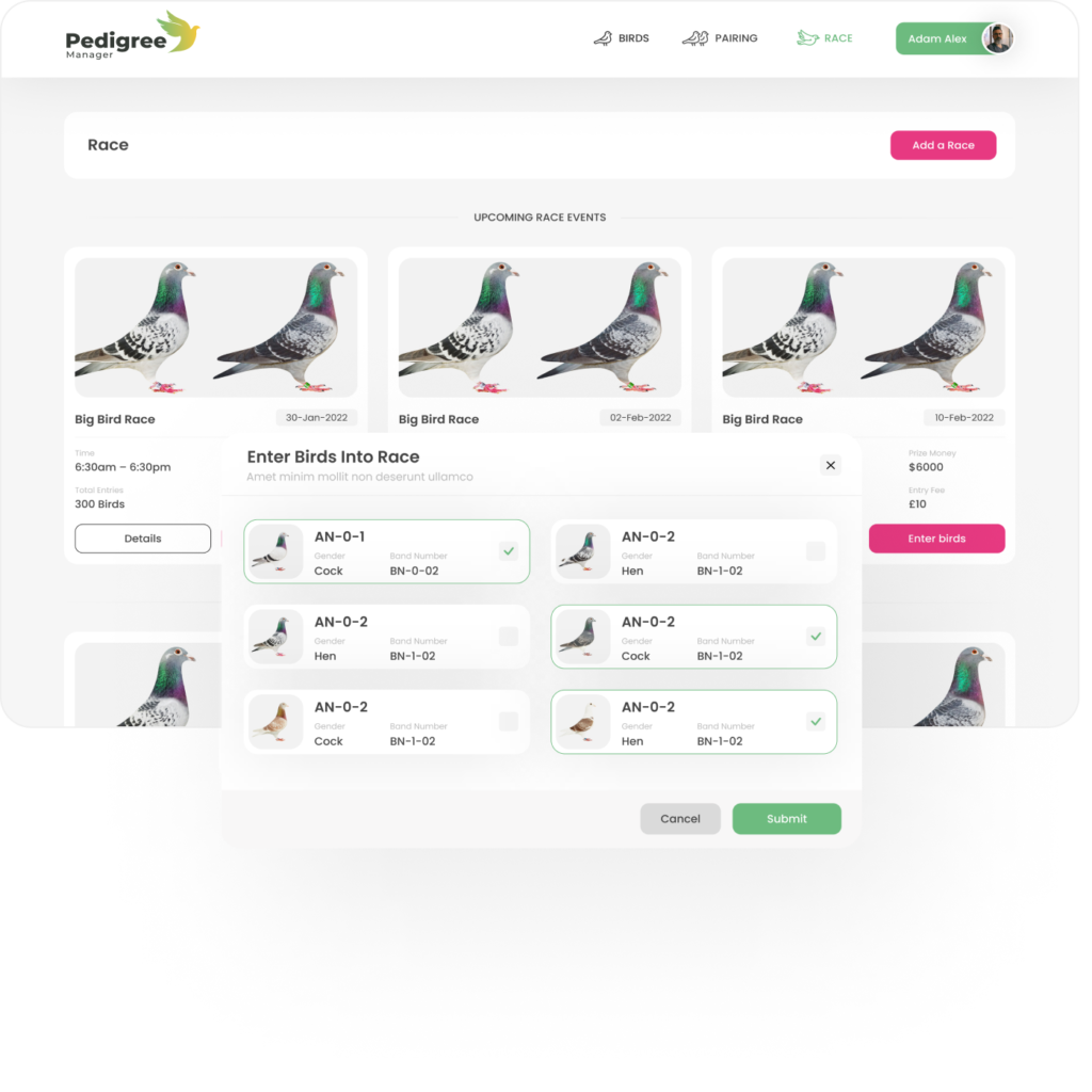 Home - Pigeon Pedigree's made easy | Pedigree Manager